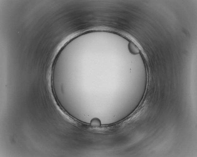 X0000112471245200908170944