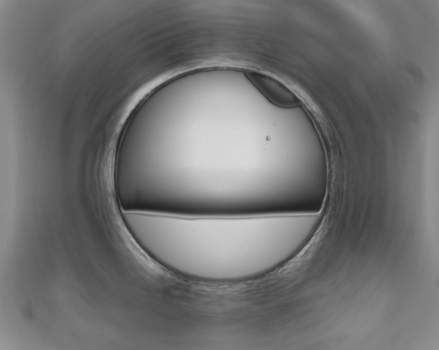 X0000112471246200908170944