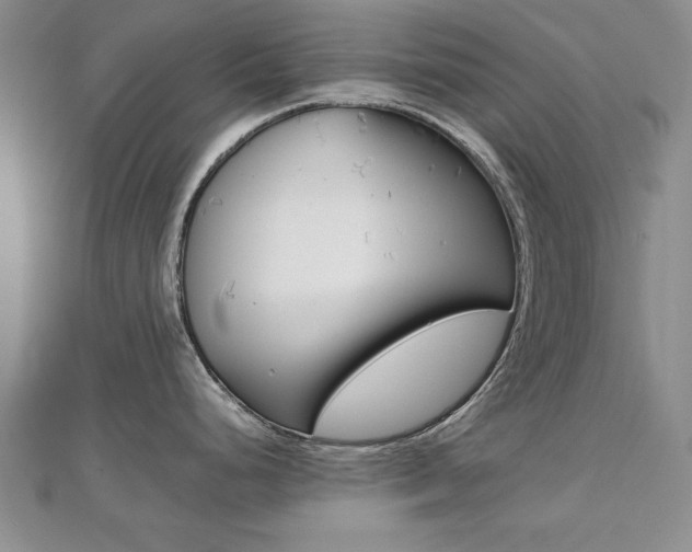 X0000112471248200908170944