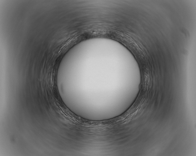 X0000112471250200908170943