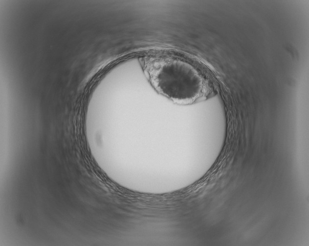 X0000112471255200908170943