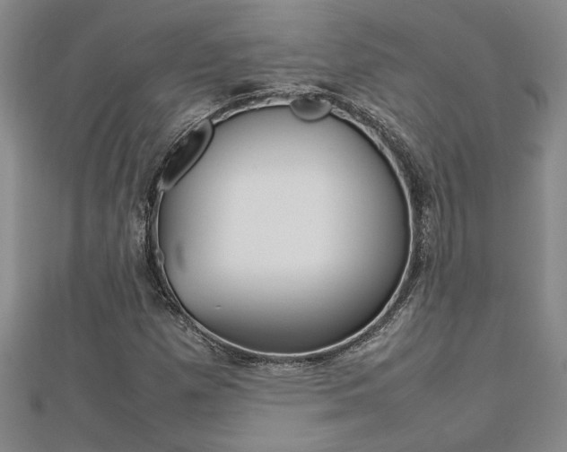 X0000112471257200908170943