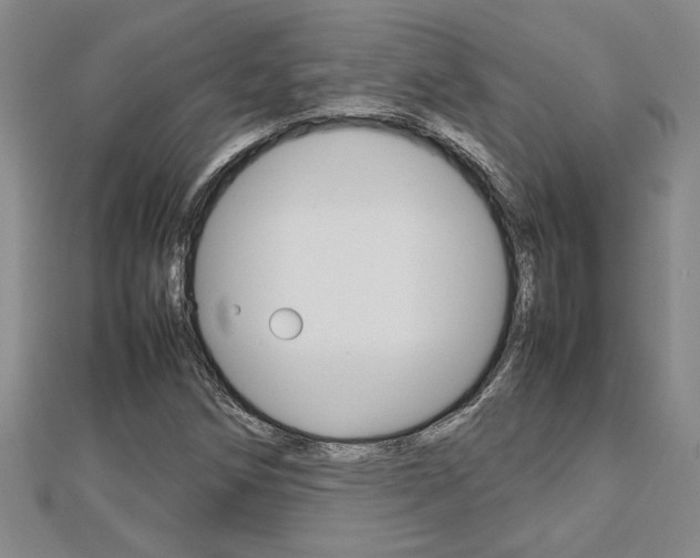 X0000112471258200908170943