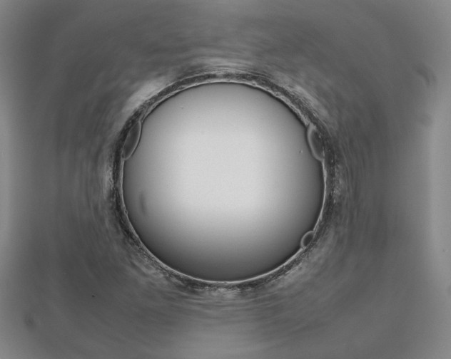 X0000112471261200908170943
