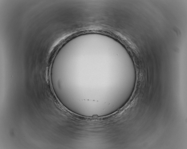 X0000112471262200908170943