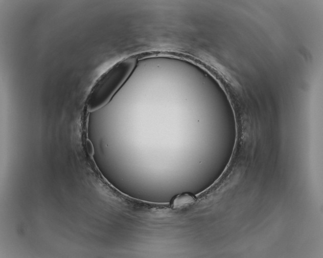 X0000112471264200908170943