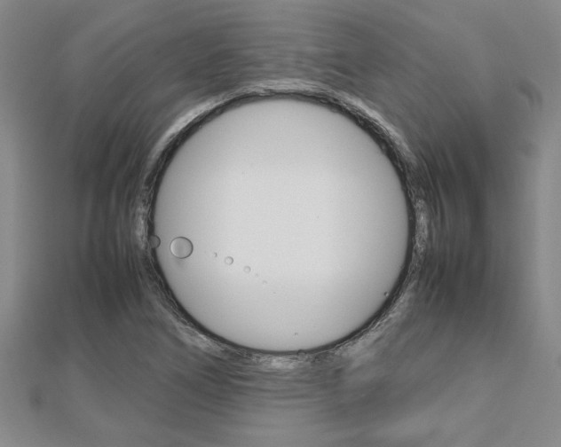 X0000112471266200908170943
