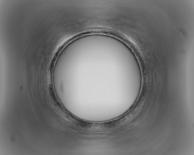 X0000112471267200908170943
