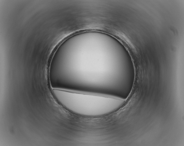 X0000112471268200908170943