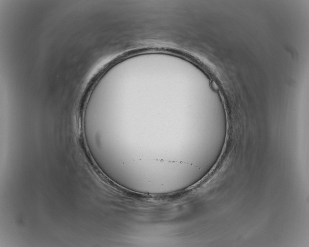 X0000112471271200908170943