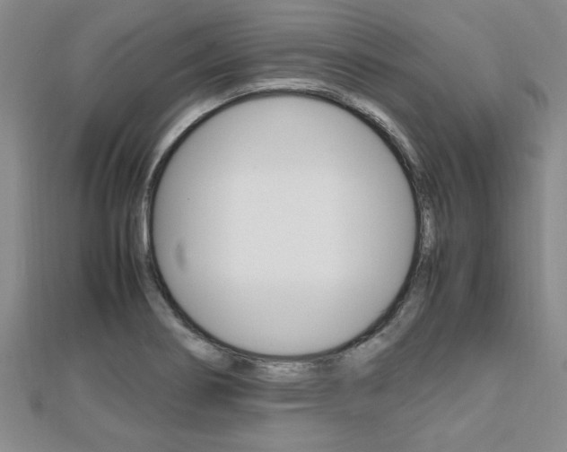 X0000112471274200908170943