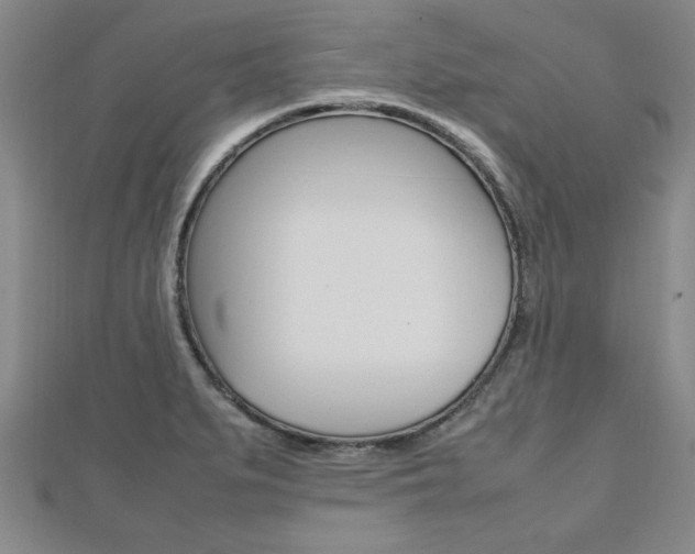X0000112471279200908170943
