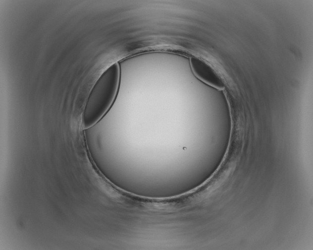 X0000112471281200908170943