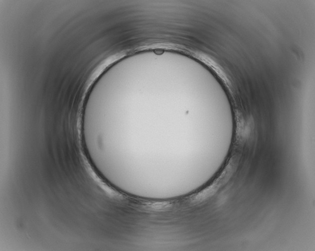X0000112471282200908170943