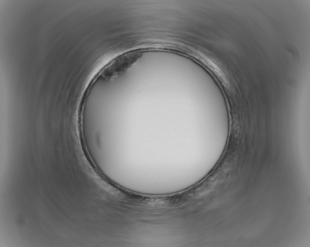 X0000112471283200908170942