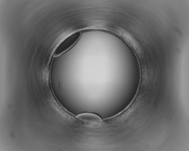 X0000112471284200908170942