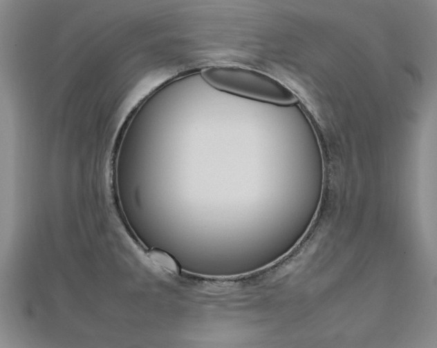 X0000112471285200908170942