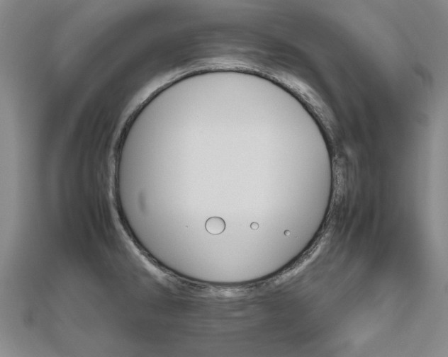 X0000112471286200908170942