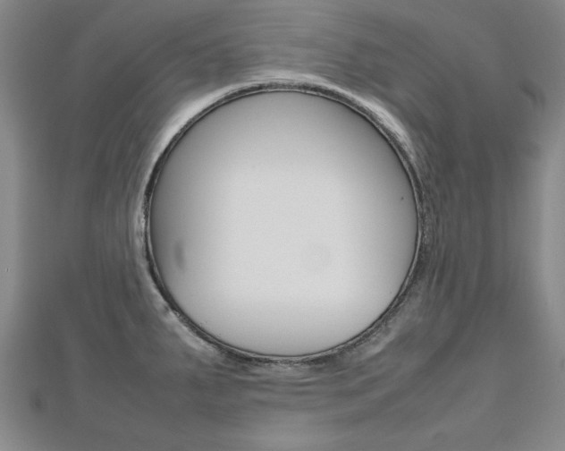 X0000112471287200908170942