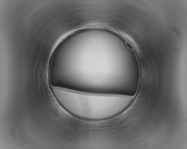 X0000112471288200908170942