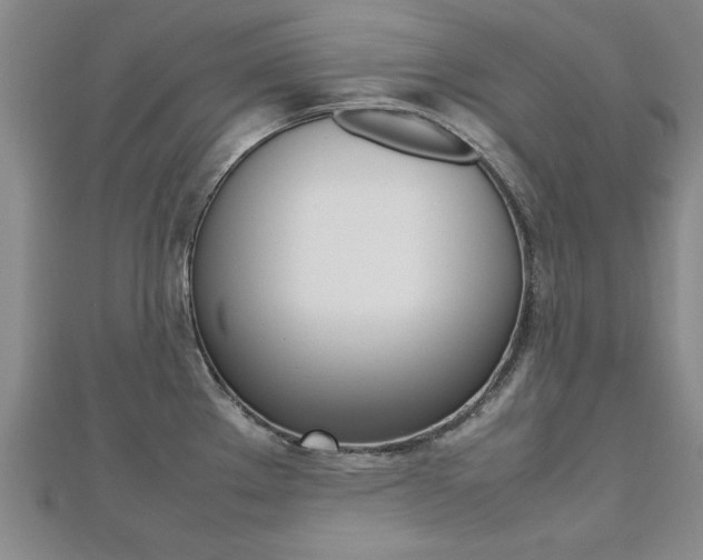 X0000112471289200908170942