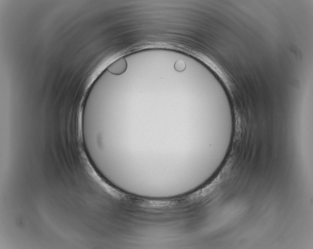 X0000112471290200908170942