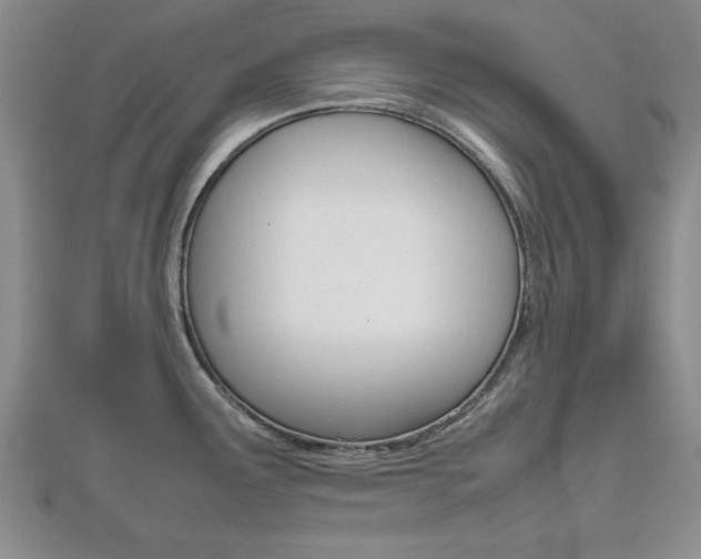 X0000112471291200908170942