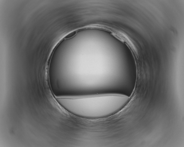 X0000112471292200908170942