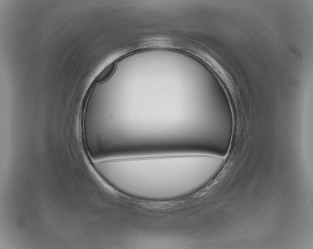 X0000112471293200908170942