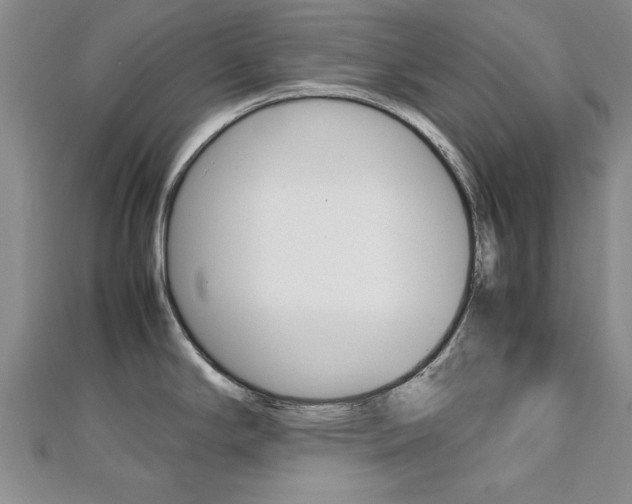 X0000112471294200908170942