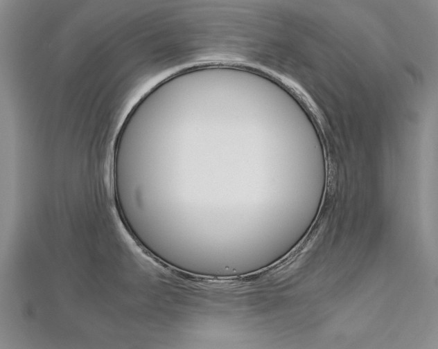 X0000112471295200908170942