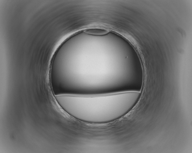 X0000112471296200908170942