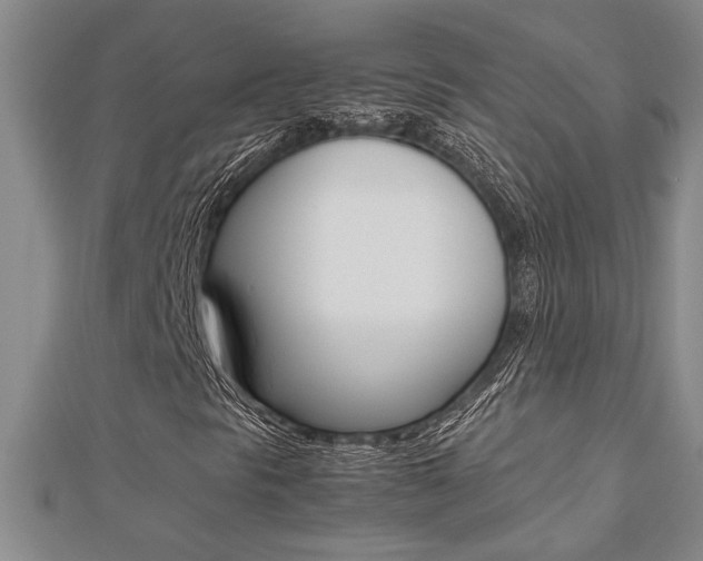 X0000112471297200908170942