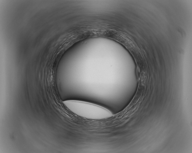 X0000112471298200908170942