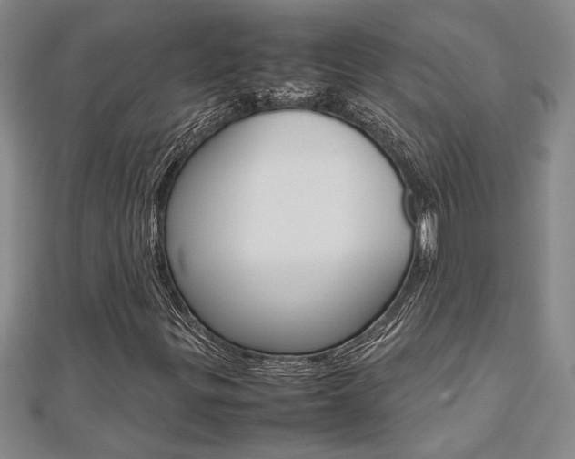X0000112471299200908170942