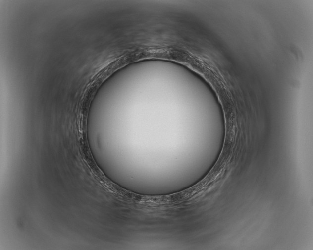 X0000112471301200908170942