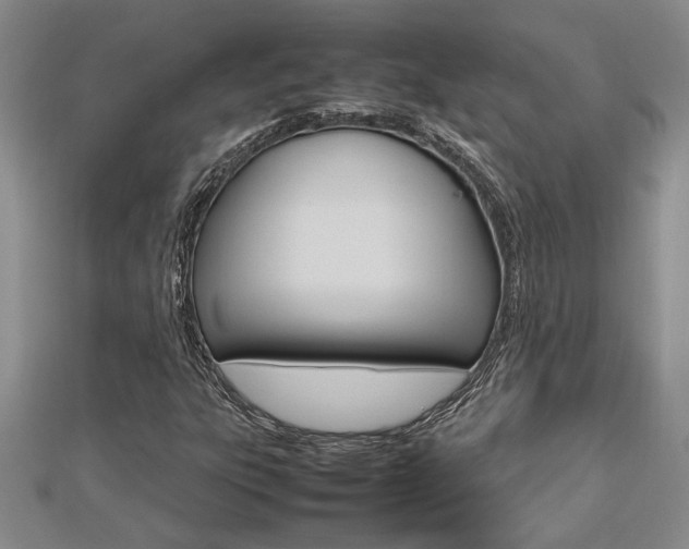 X0000112471303200908170942
