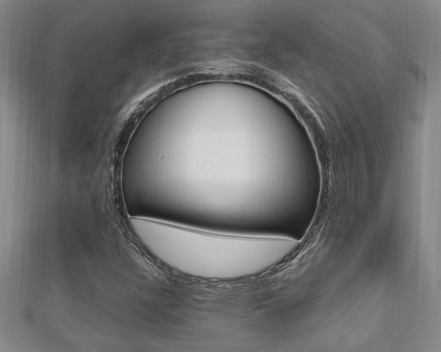 X0000112471304200908170942
