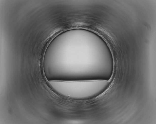 X0000112471305200908170942