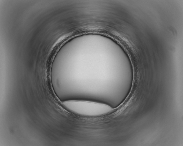 X0000112471306200908170942