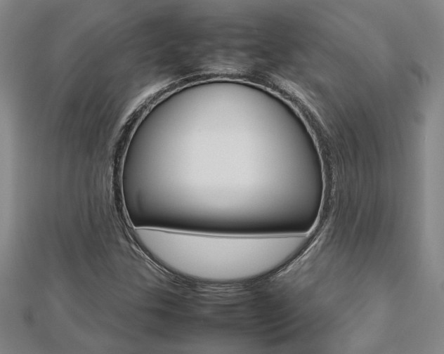 X0000112471307200908170942
