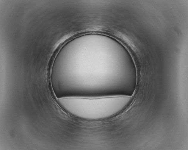 X0000112471308200908170942