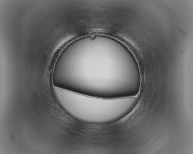 X0000112471309200908170942