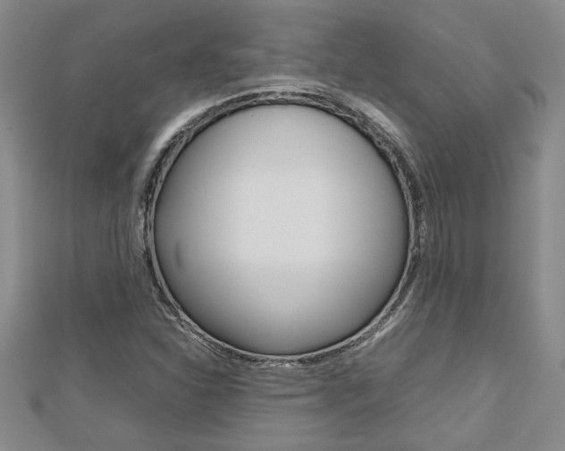 X0000112471310200908170942