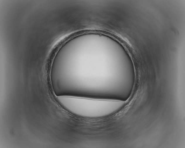 X0000112471311200908170942