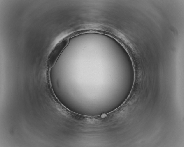 X0000112471312200908170942