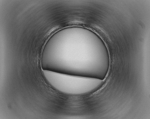 X0000112471313200908170942