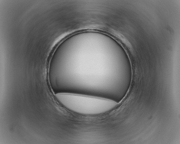 X0000112471316200908170942