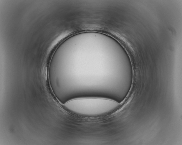 X0000112471317200908170942