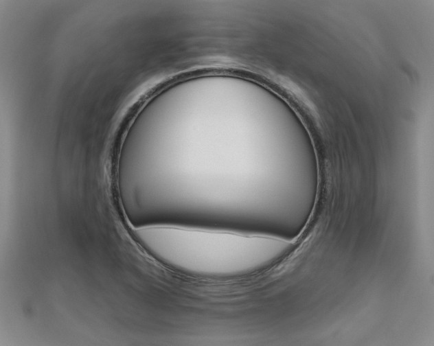 X0000112471318200908170942